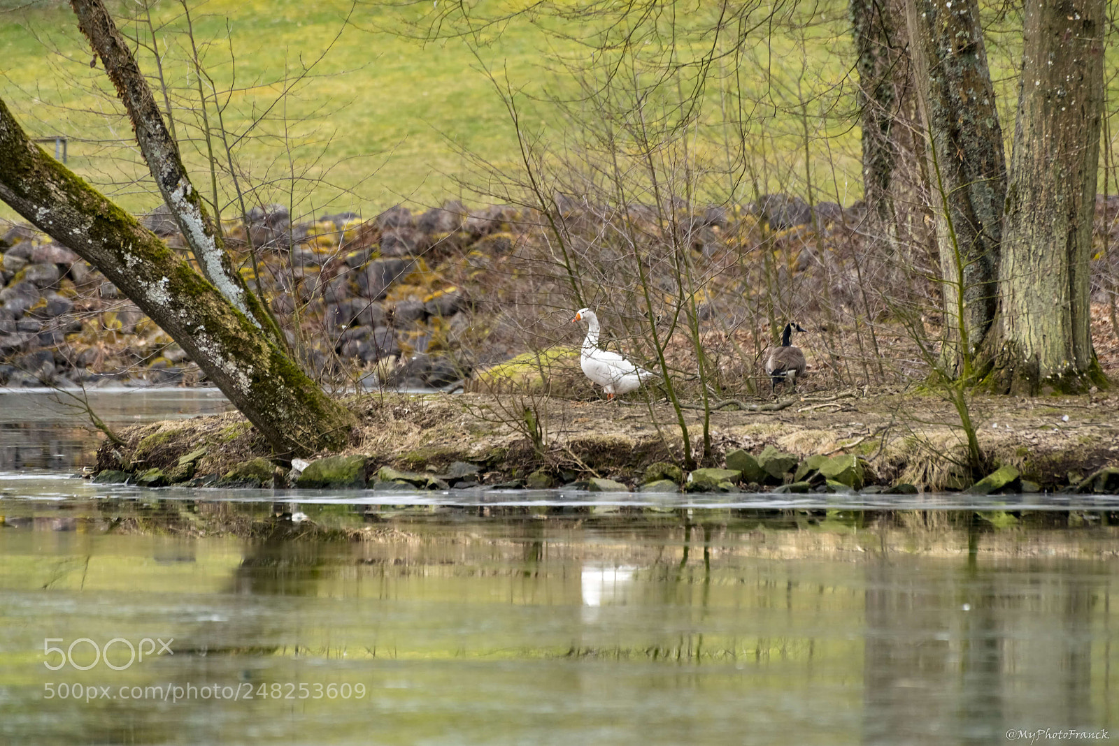 Nikon D800E sample photo. Bien tranquille photography