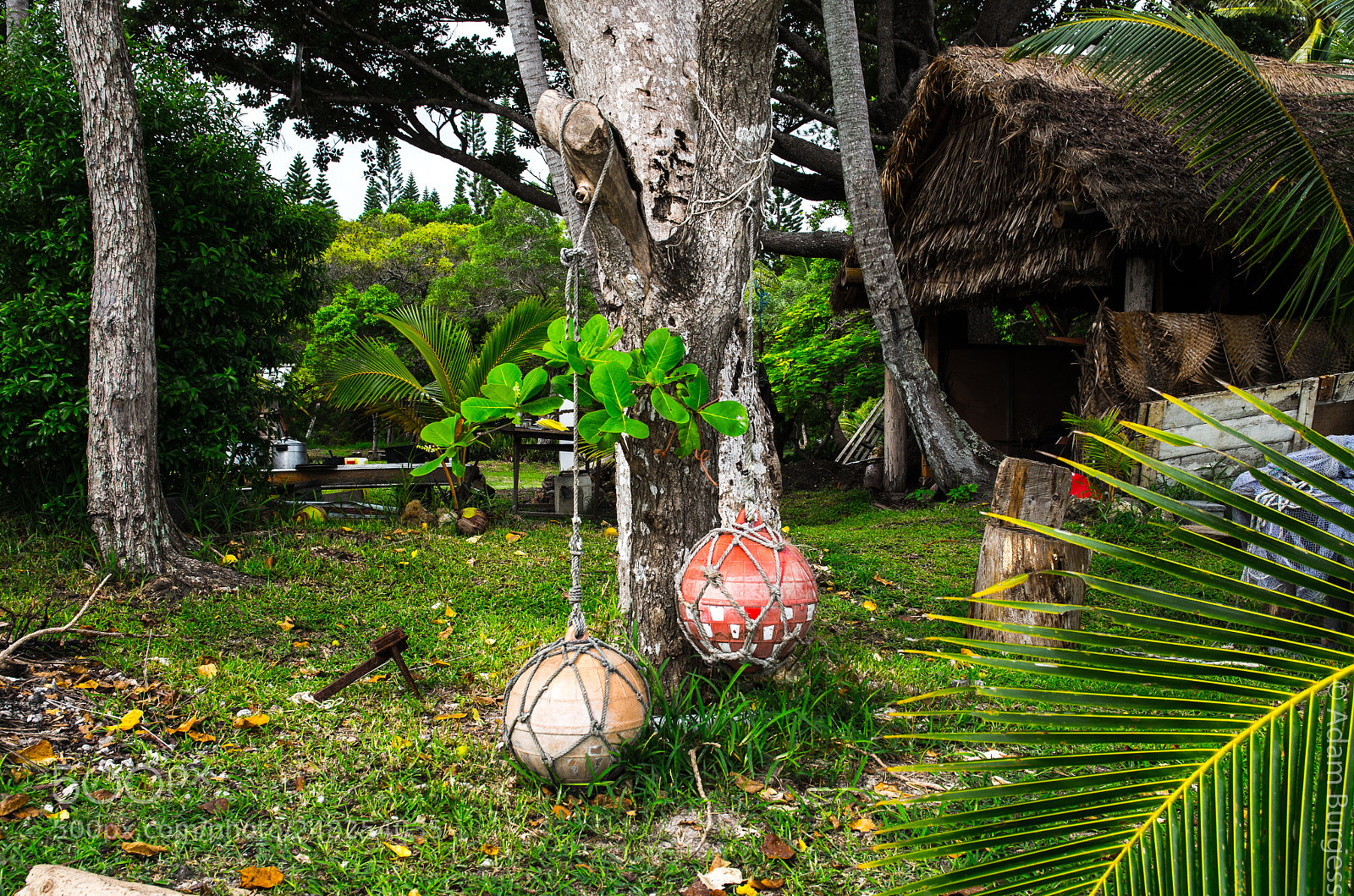 Pentax K-30 sample photo. Bouys photography