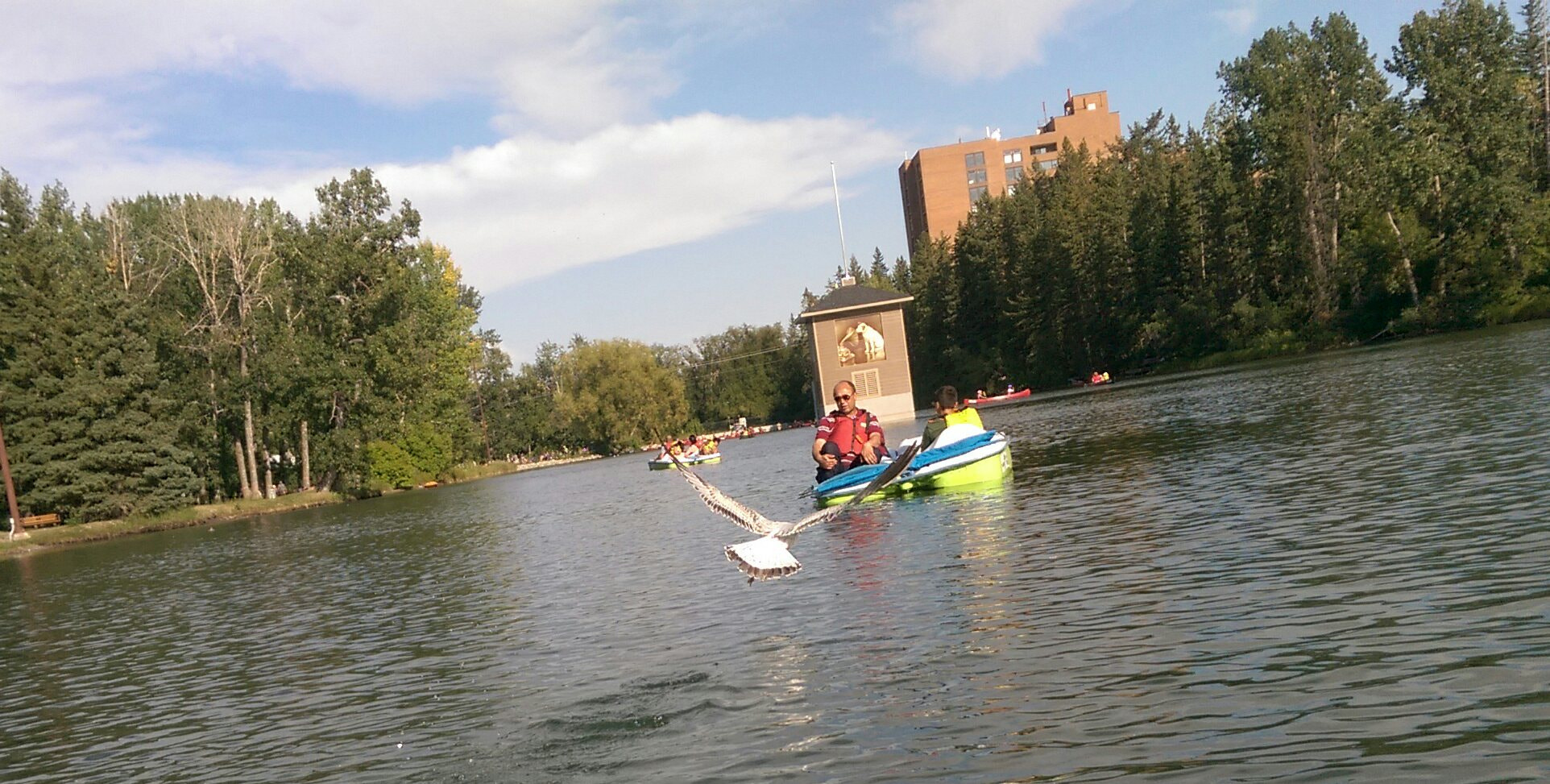 HTC ONE M8 sample photo