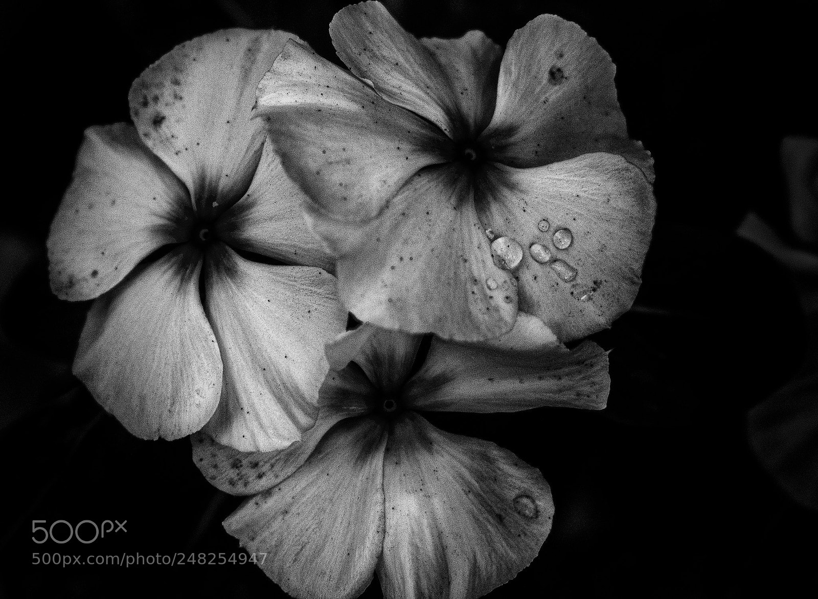 Nikon D5300 sample photo. Editar editar editar editar photography