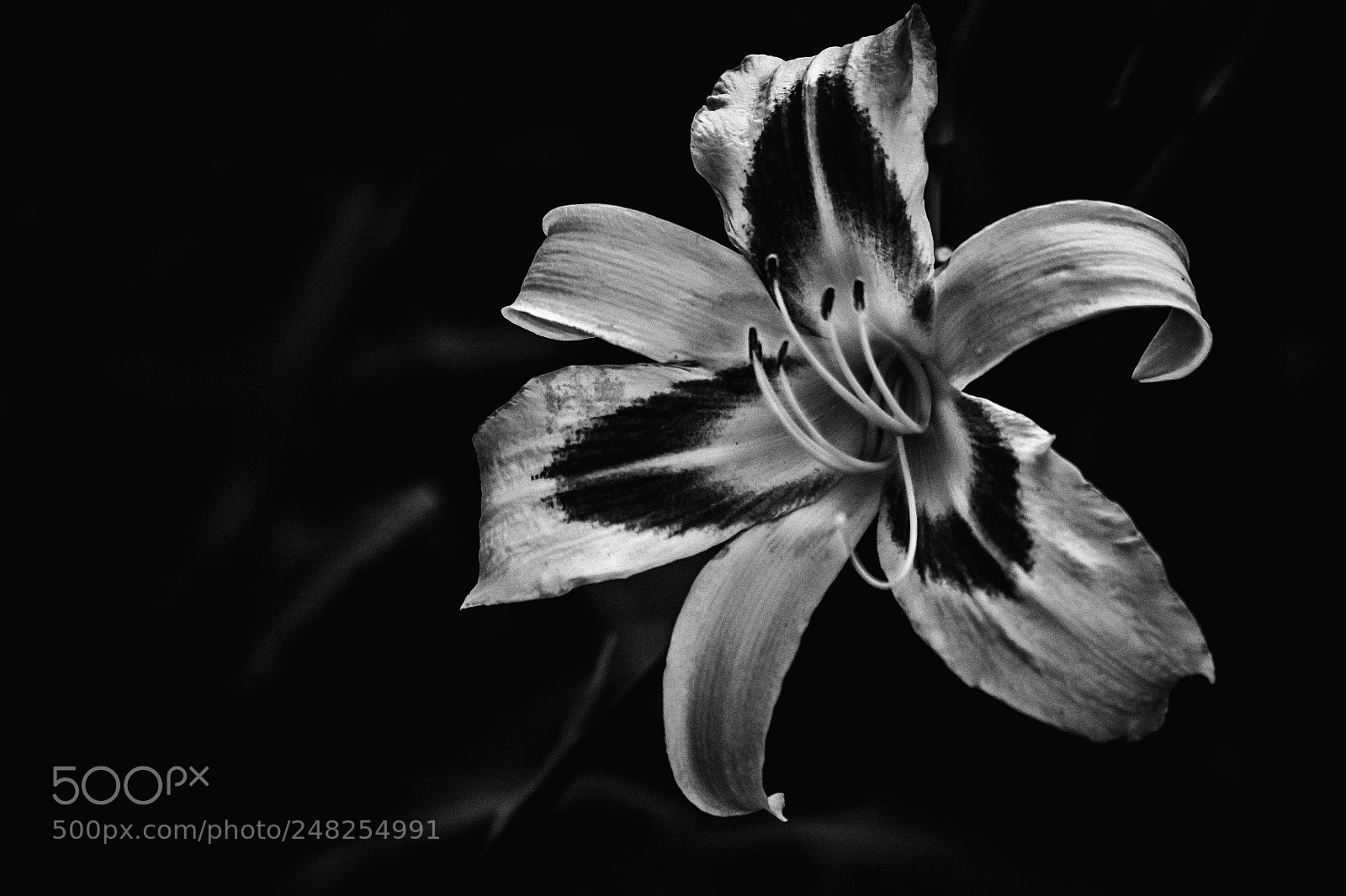 Nikon D5300 sample photo. Editar photography
