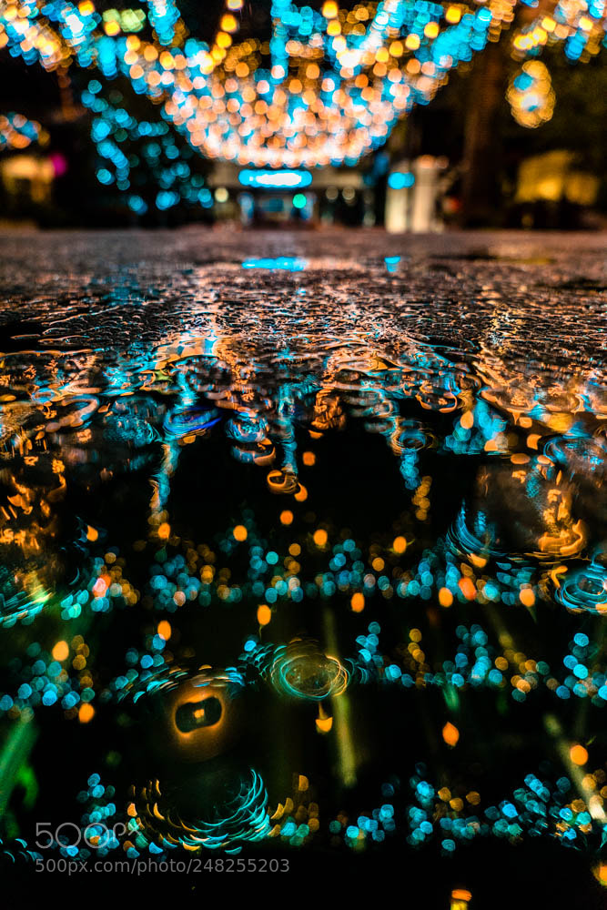 Sony a7 II sample photo. When the lights meet photography