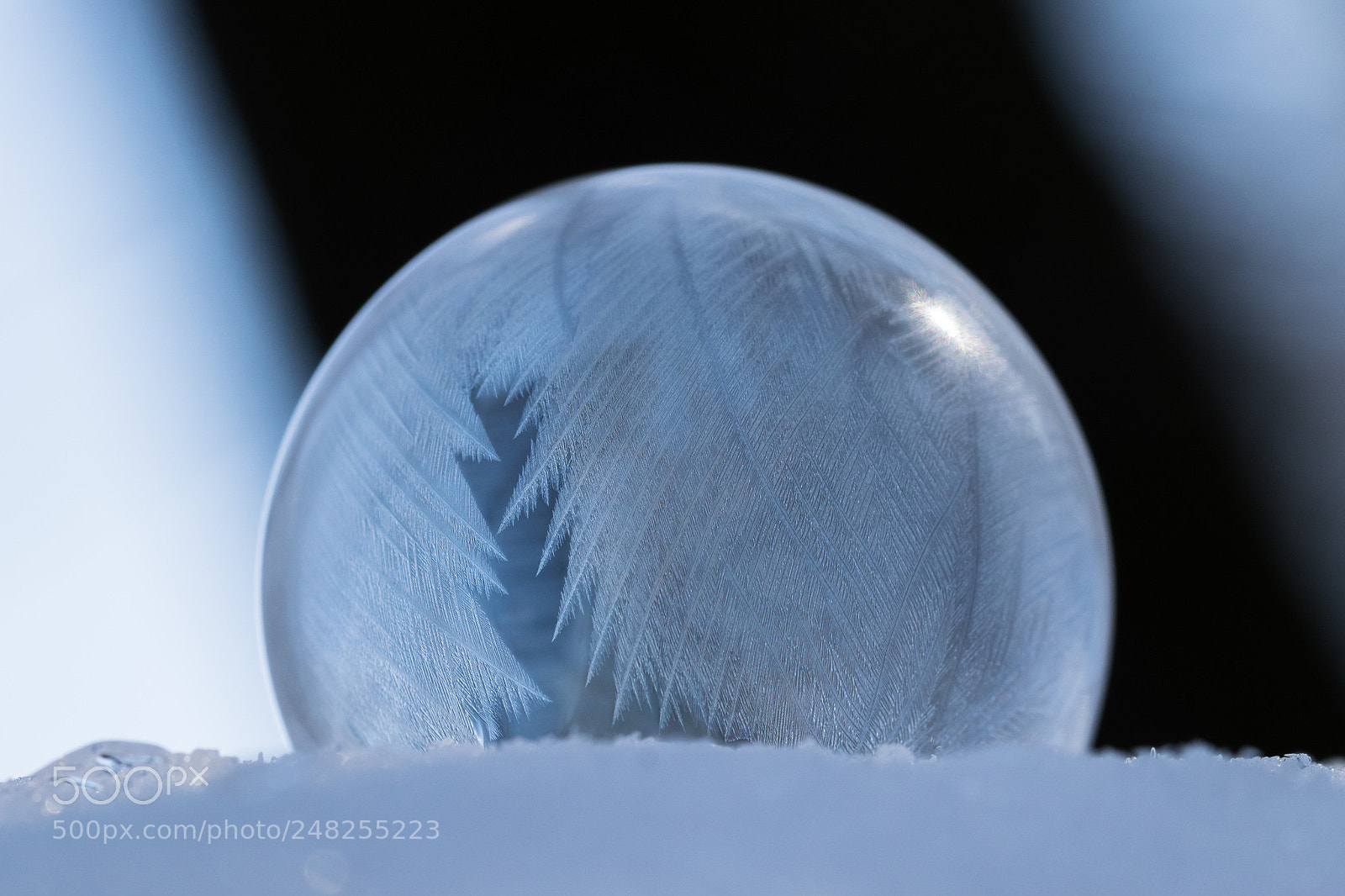 Nikon D5300 sample photo. Frozen bubble photography
