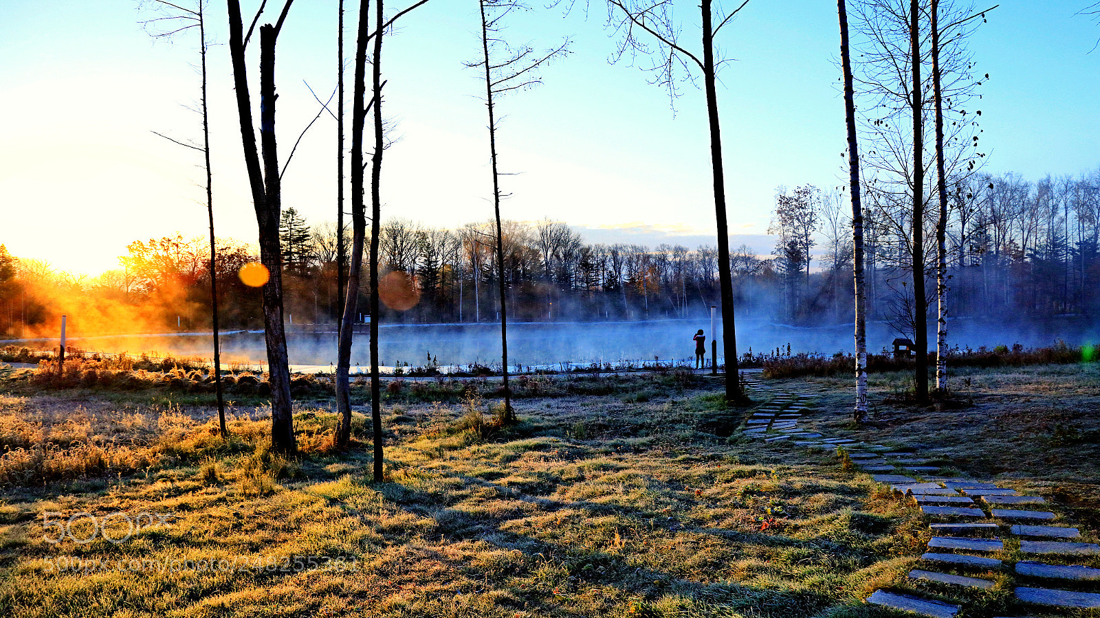 Canon EOS 5DS R sample photo. Untitled photography