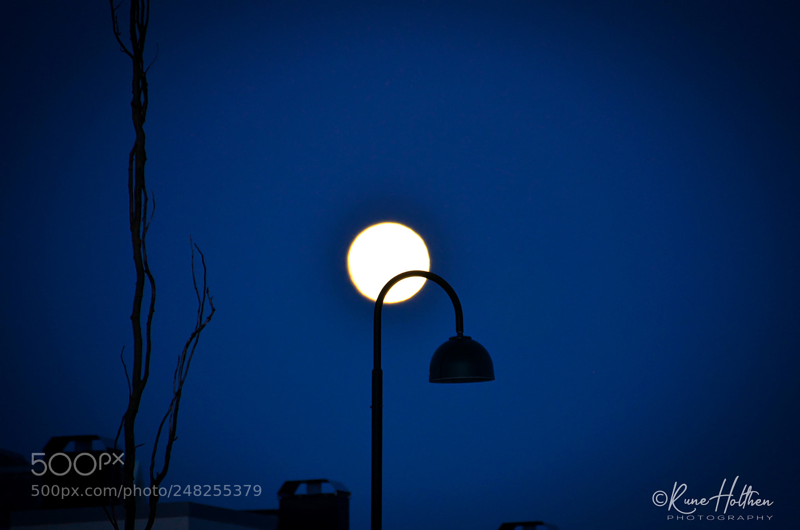 Nikon D5100 sample photo. Blue moon photography