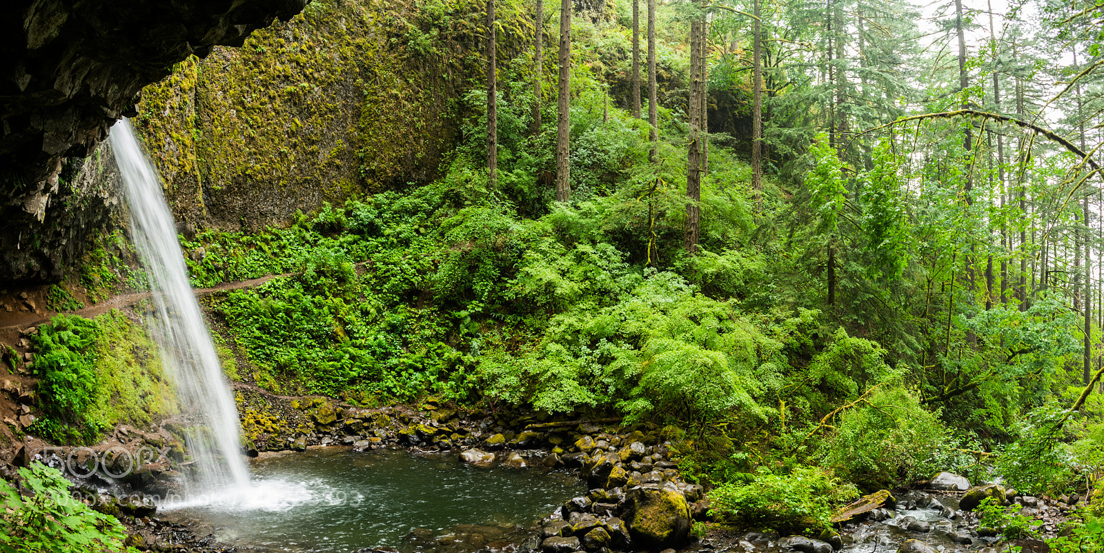 Nikon D3400 sample photo. Ponytail falls photography