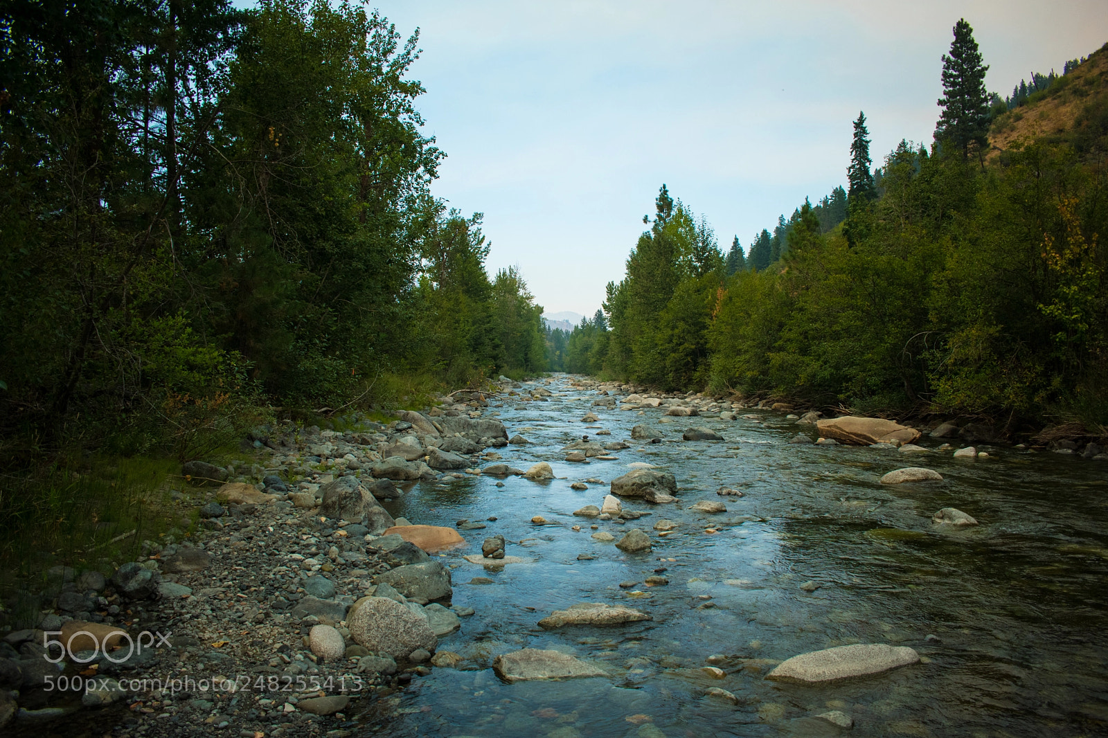 Nikon D3400 sample photo. Riverway photography