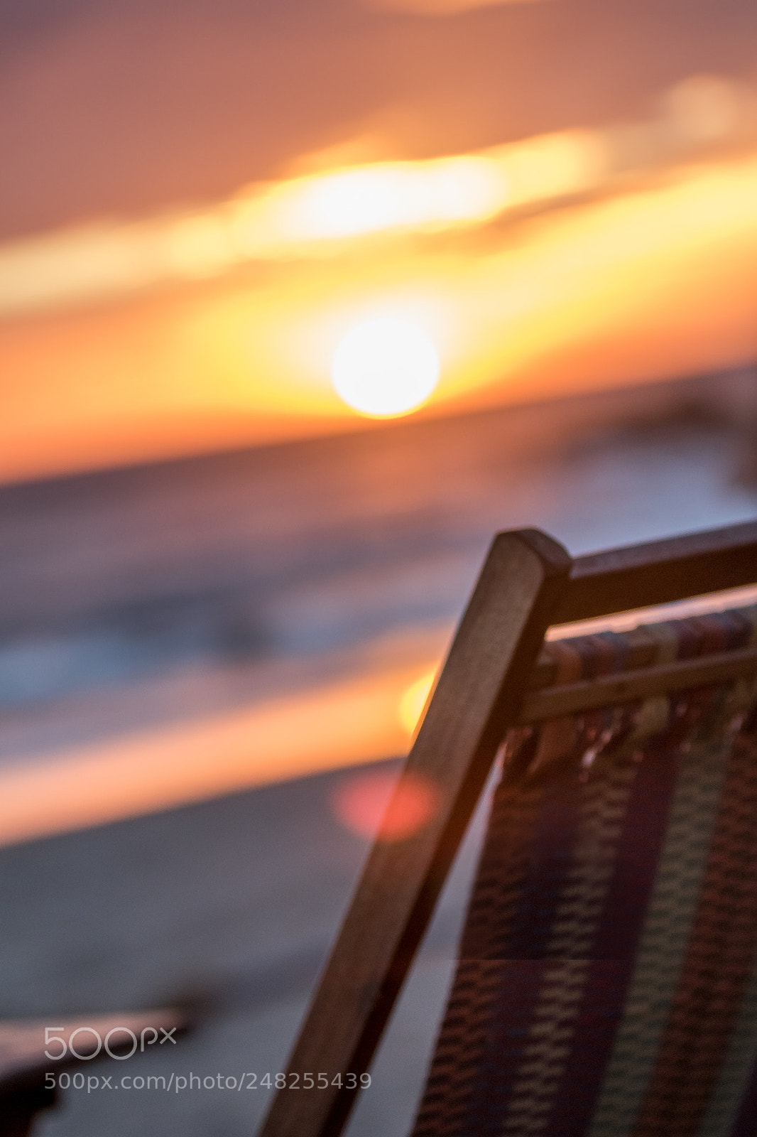 Canon EOS 7D Mark II sample photo. Front row photography