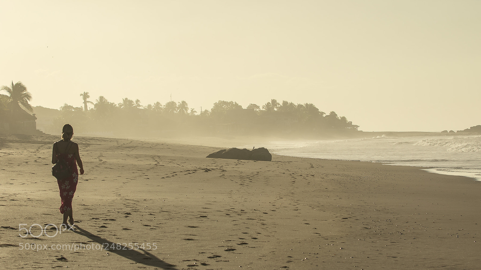 Canon EOS 7D Mark II sample photo. Morning haze photography