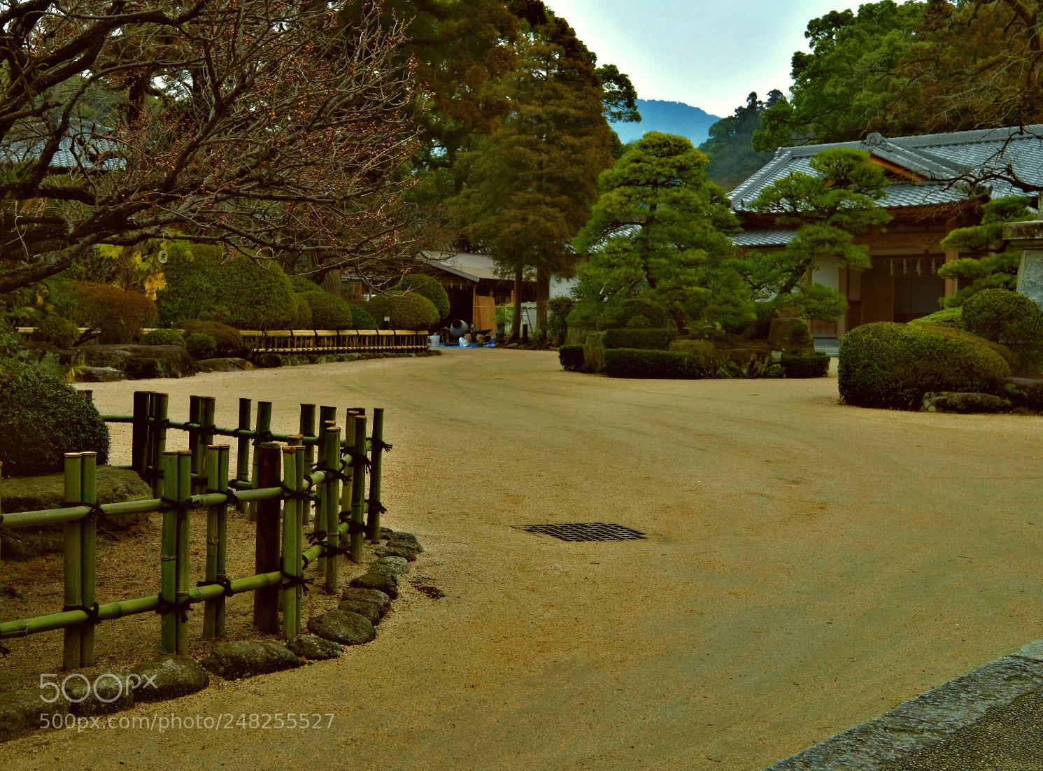Fujifilm X-T2 sample photo. Untitled photography