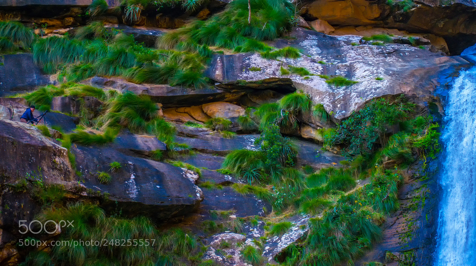 Nikon D5300 sample photo. Editar photography