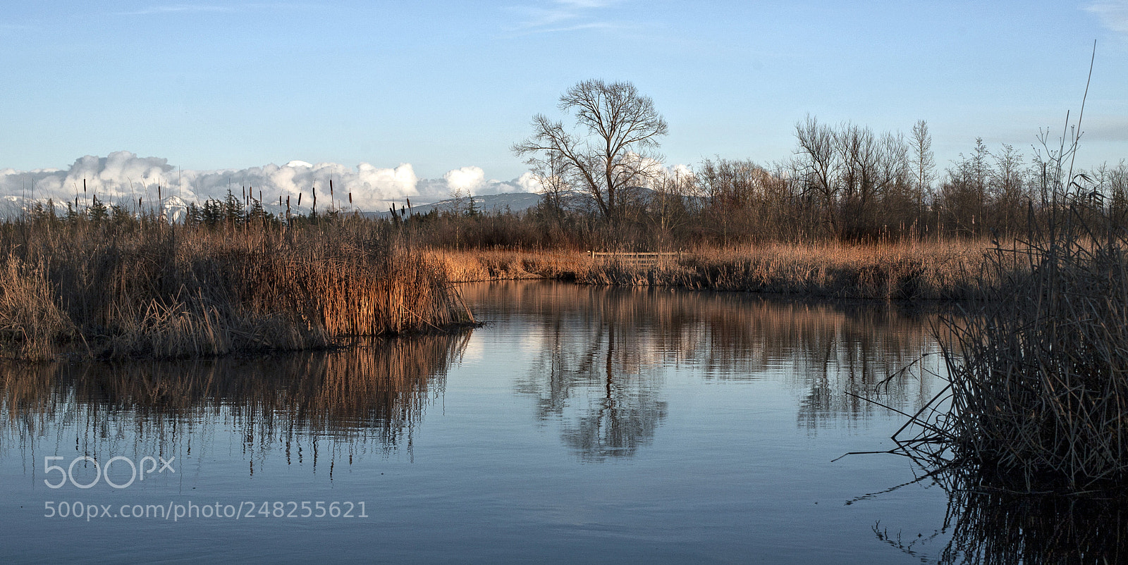 Canon EOS 5D sample photo. Tennant lake photography