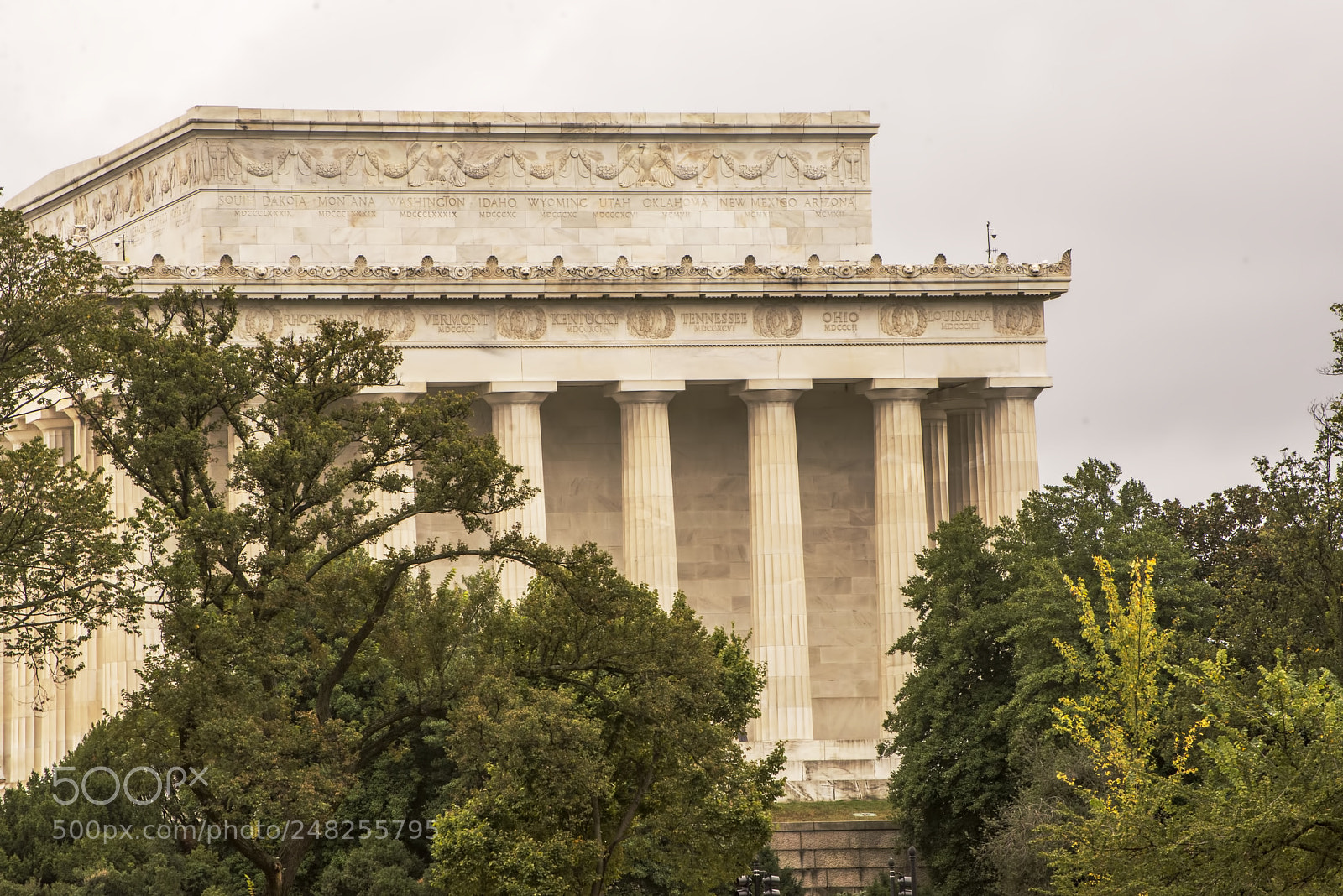 Nikon D600 sample photo. Partial view (1) photography