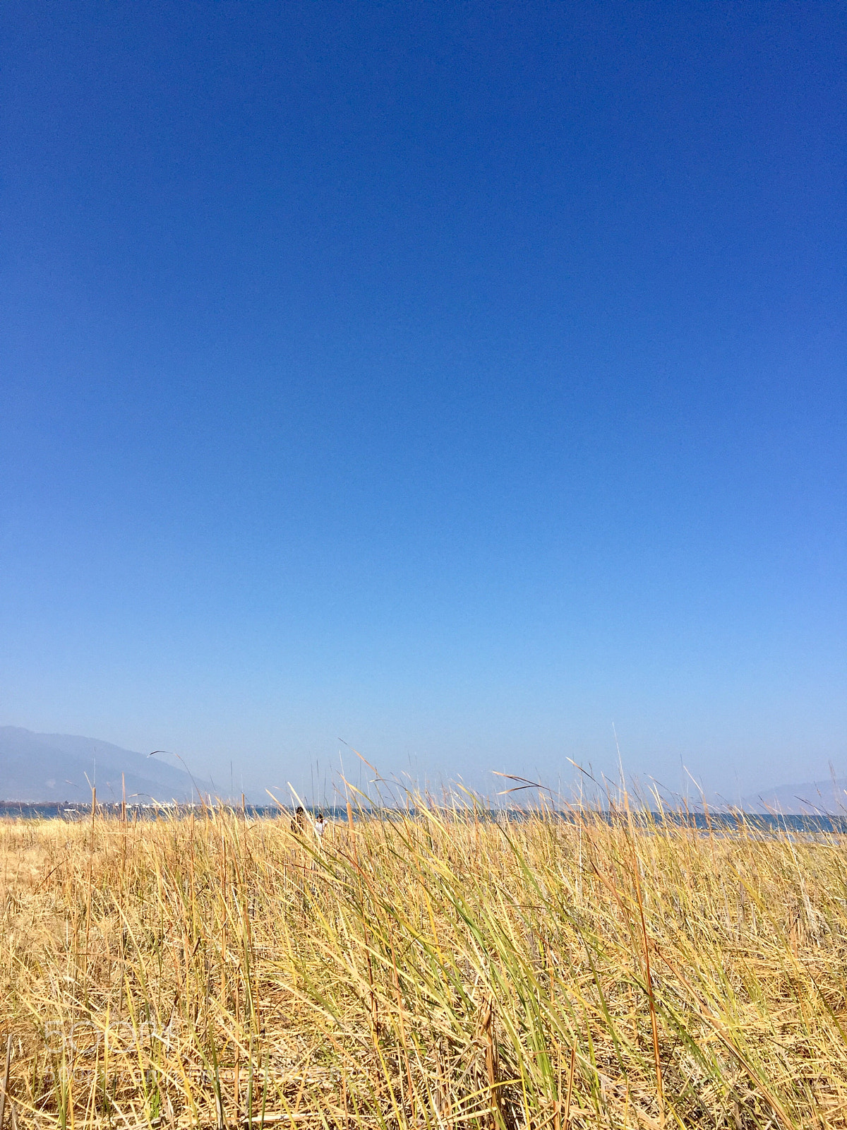 Apple iPhone 6 sample photo. 洱海 photography