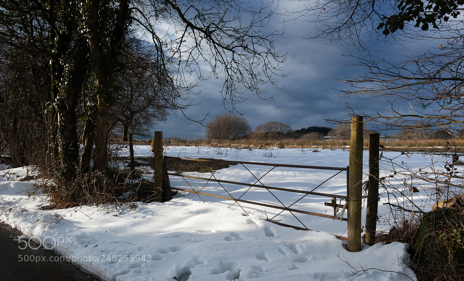 Nikon D700 sample photo. Mid-winter photography