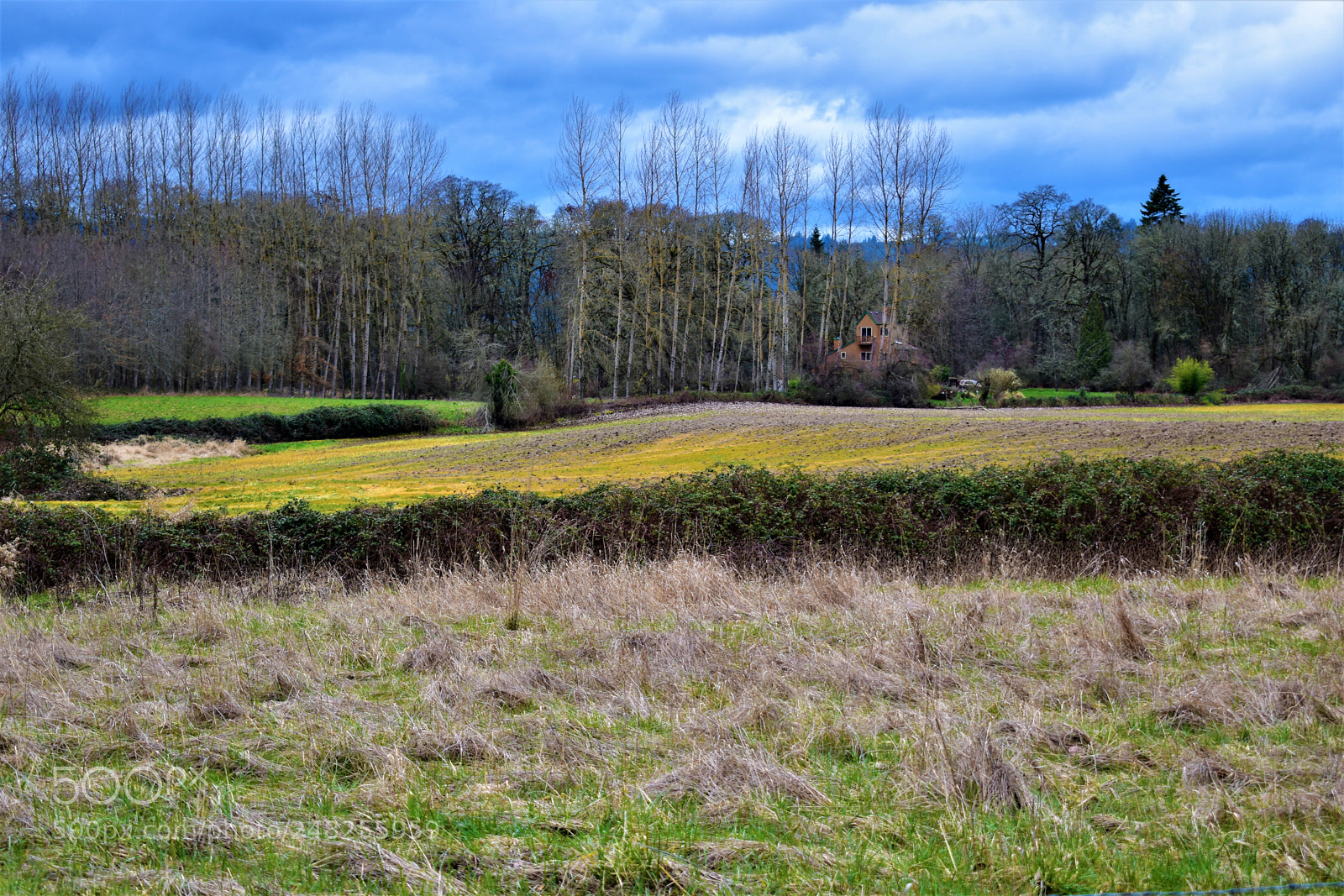 Nikon D5500 sample photo. Dead nature photography