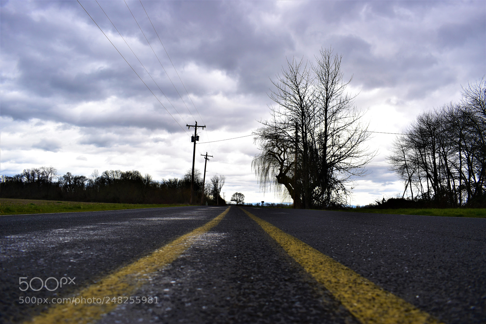 Nikon D5500 sample photo. Dead nature photography