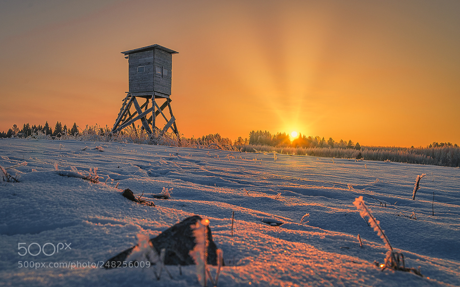 Nikon D610 sample photo. Sunrise photography