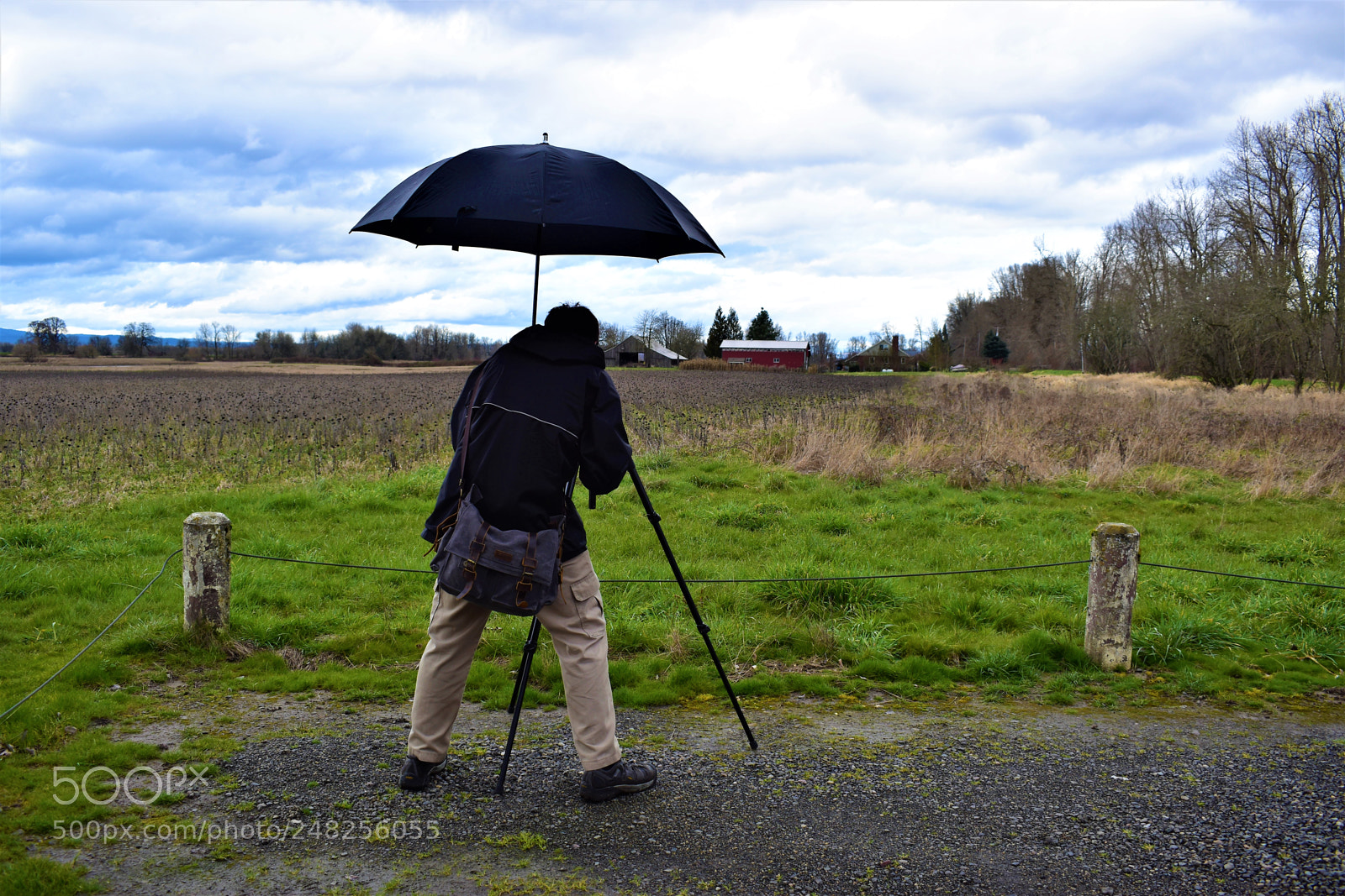 Nikon D5500 sample photo. Dead nature photography