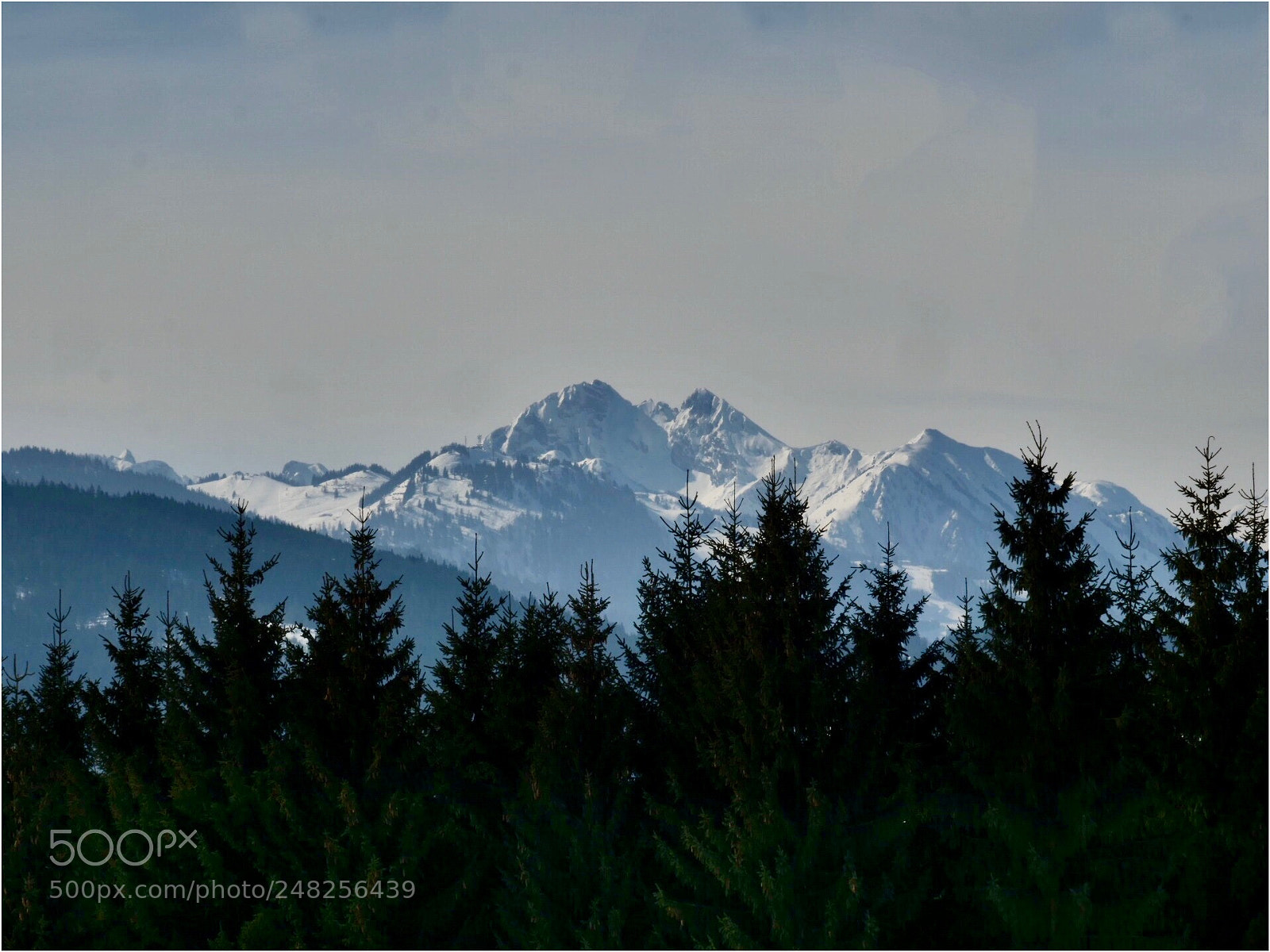 Panasonic Lumix DC-G9 sample photo. Majestic .... photography