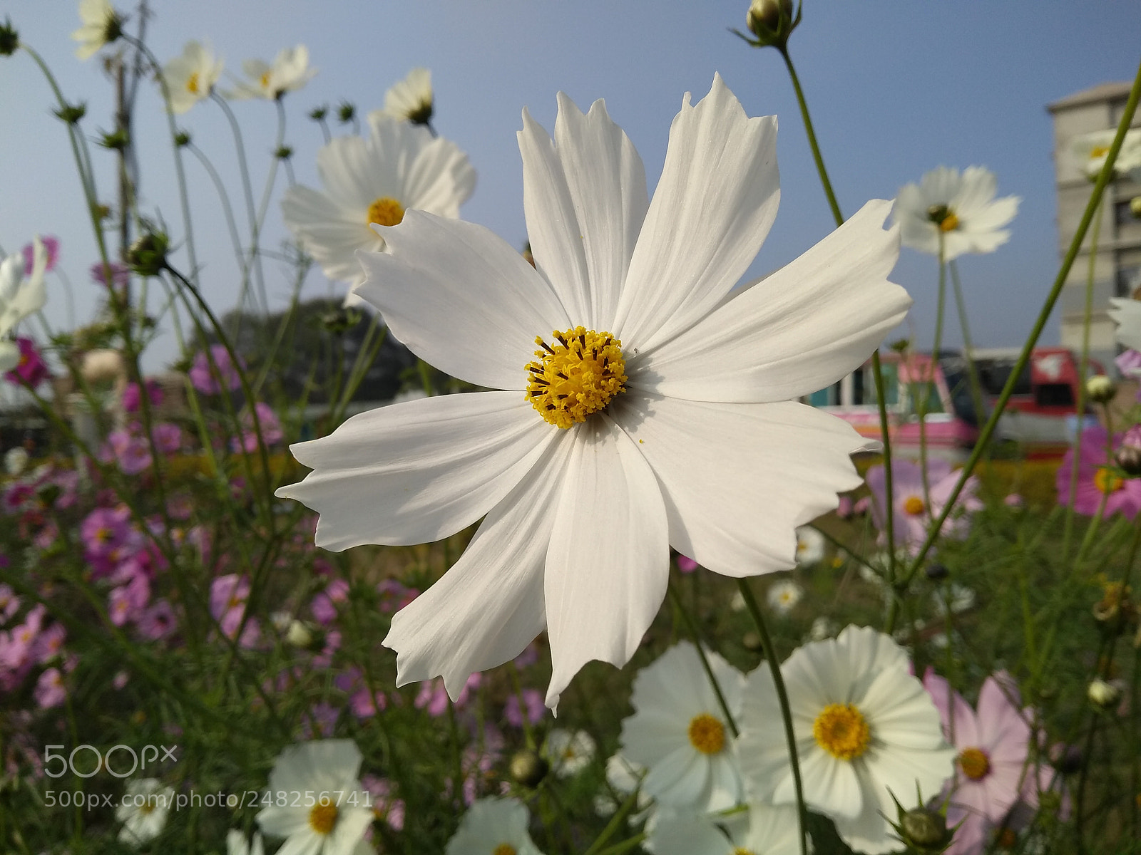 Motorola Moto G (5S) Plus sample photo. Untitled photography