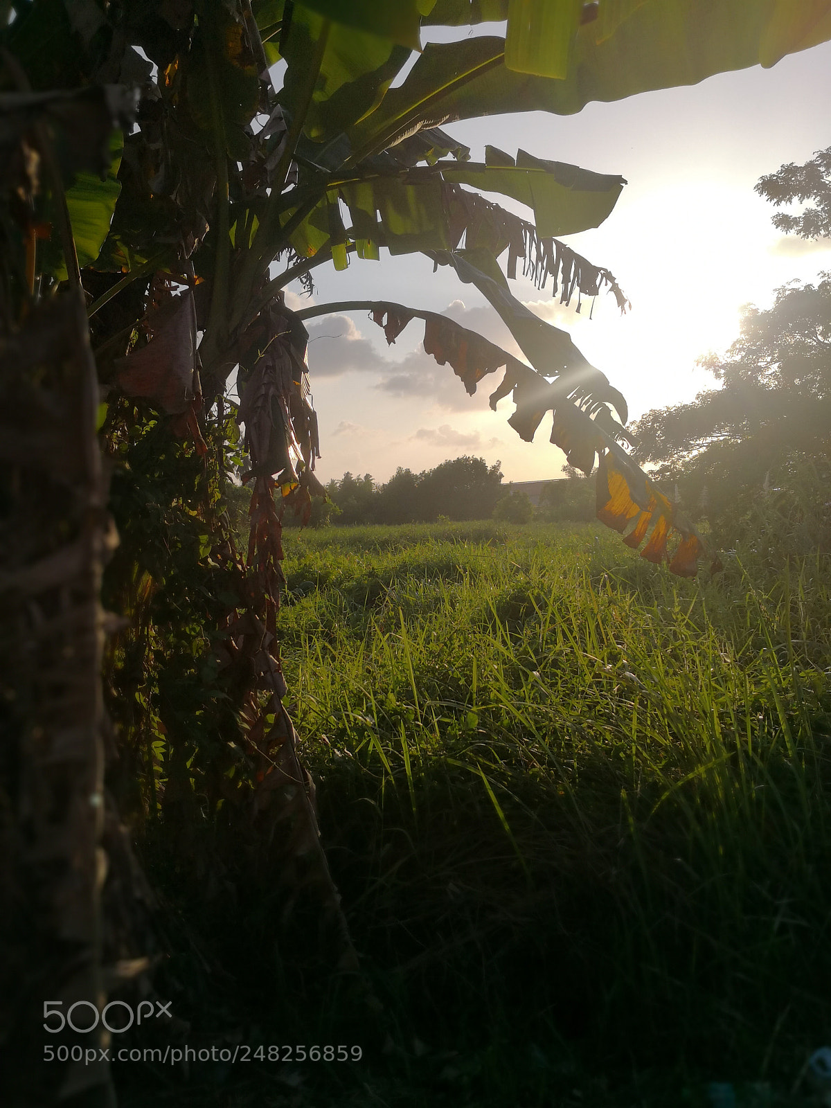 HUAWEI Mate 10 sample photo. Somewhere in malaysia photography