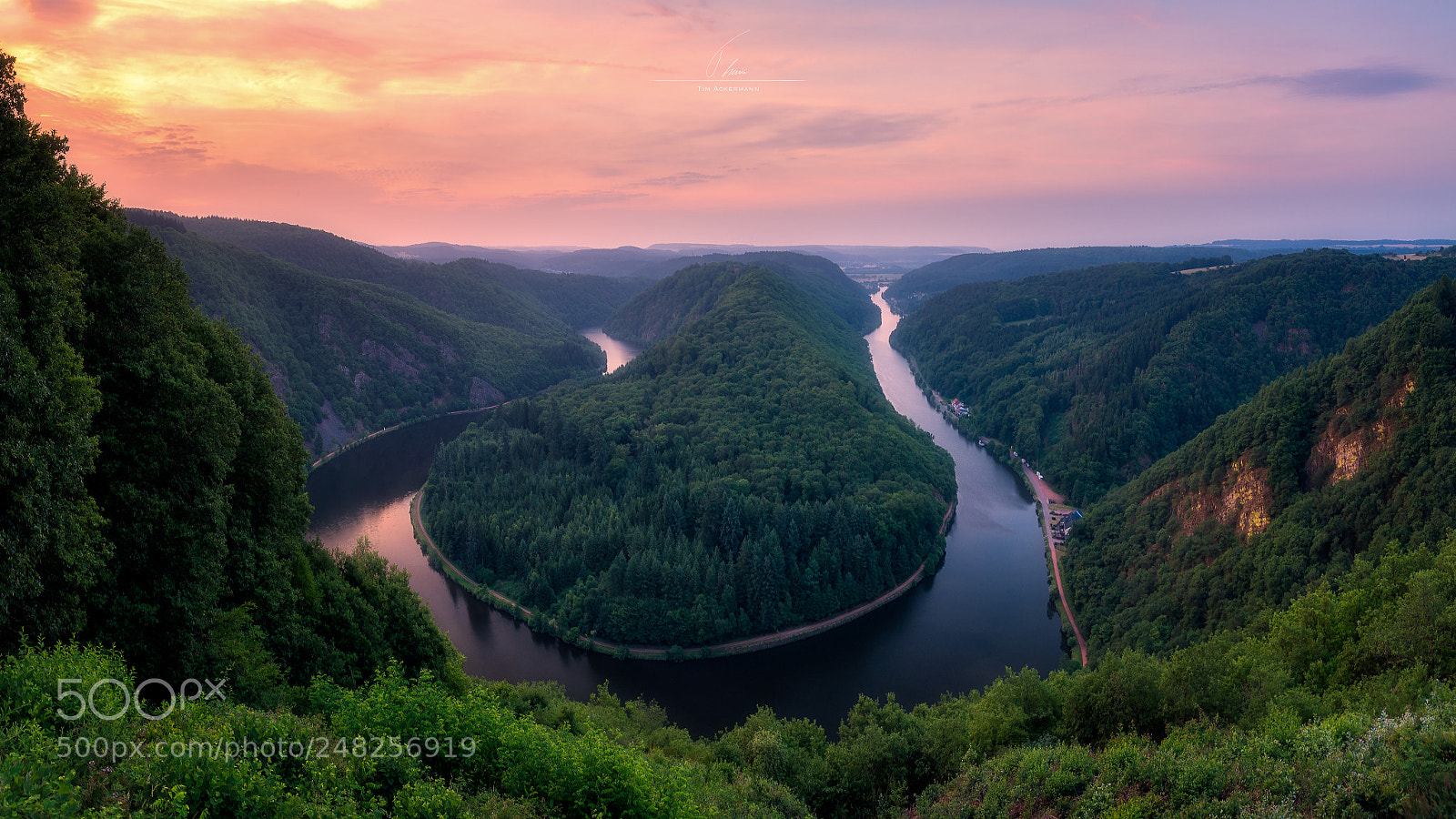 Nikon D610 sample photo. German horseshoe photography