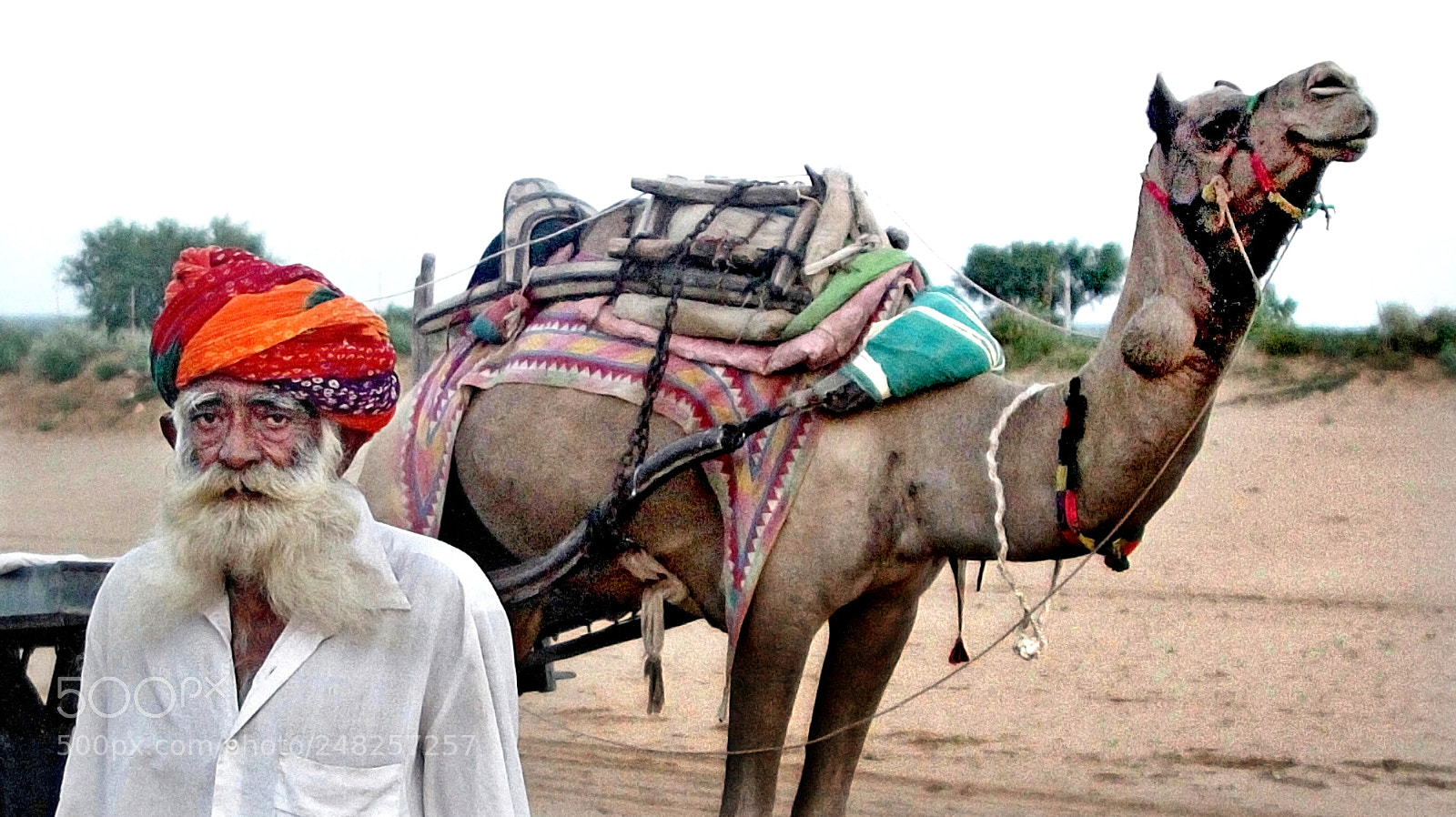 Canon EOS 50D sample photo. The camel driver   rajasthan photography