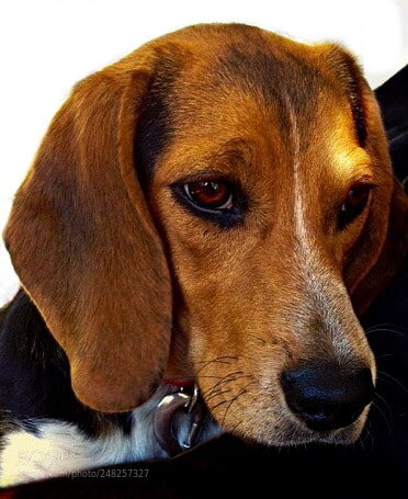 Apple iPhone 4S sample photo. Untitled photography