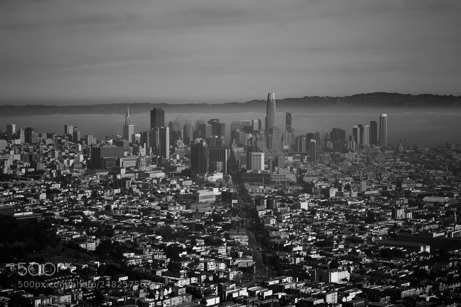 Nikon D3100 sample photo. Untitled photography