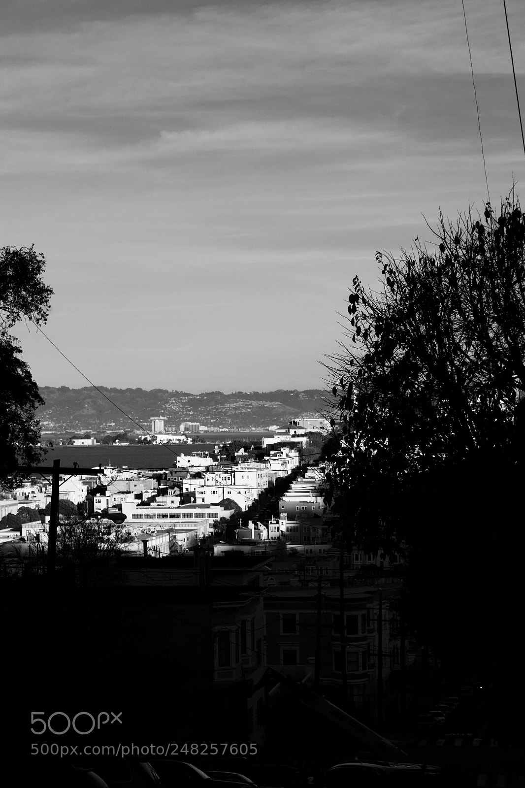 Nikon D3100 sample photo. Alamo square view photography