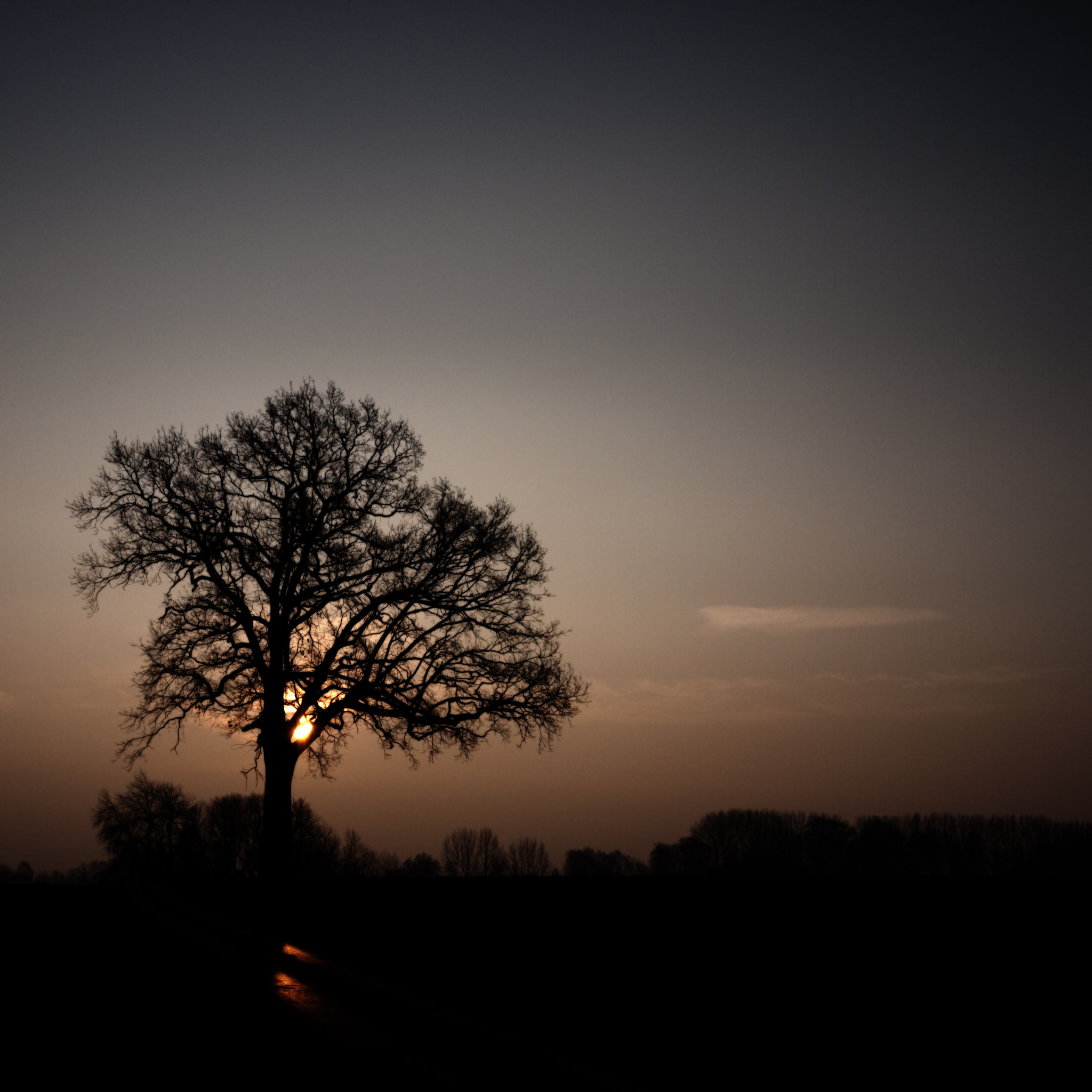 Panasonic Lumix DMC-GF1 sample photo. Pajottenland serie photography