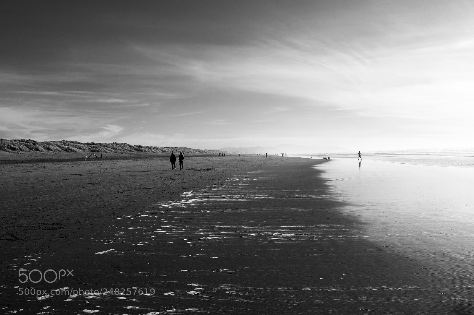 Nikon D3100 sample photo. Untitled photography