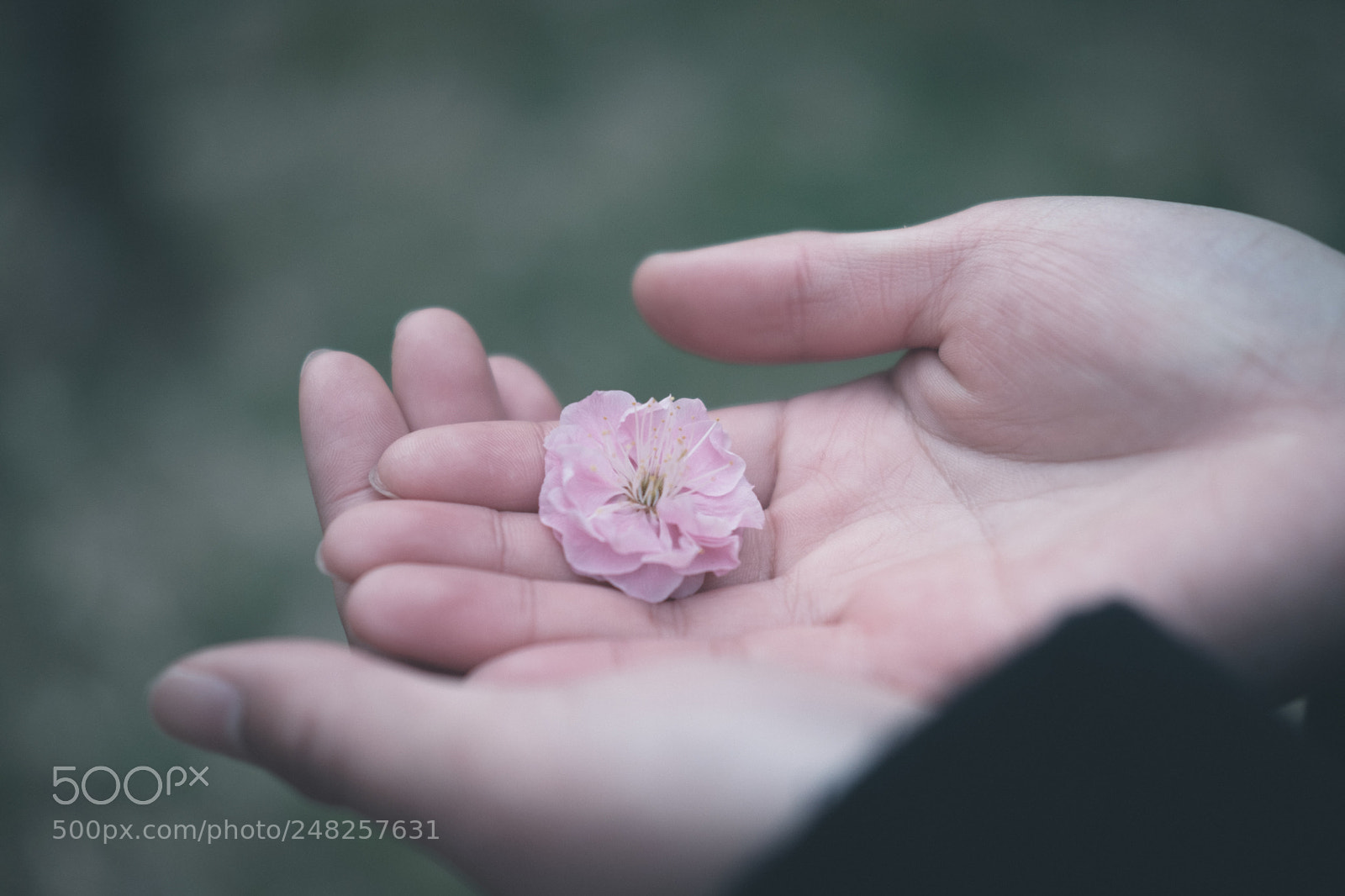 Fujifilm X-T2 sample photo. Untitled photography