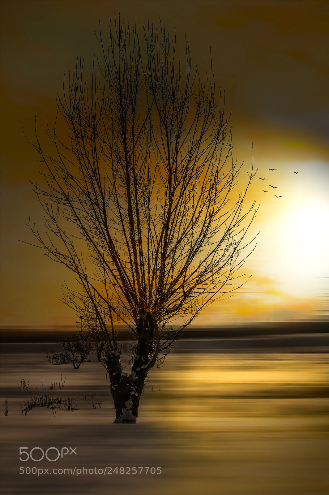Nikon D3200 sample photo. Sunrise photography