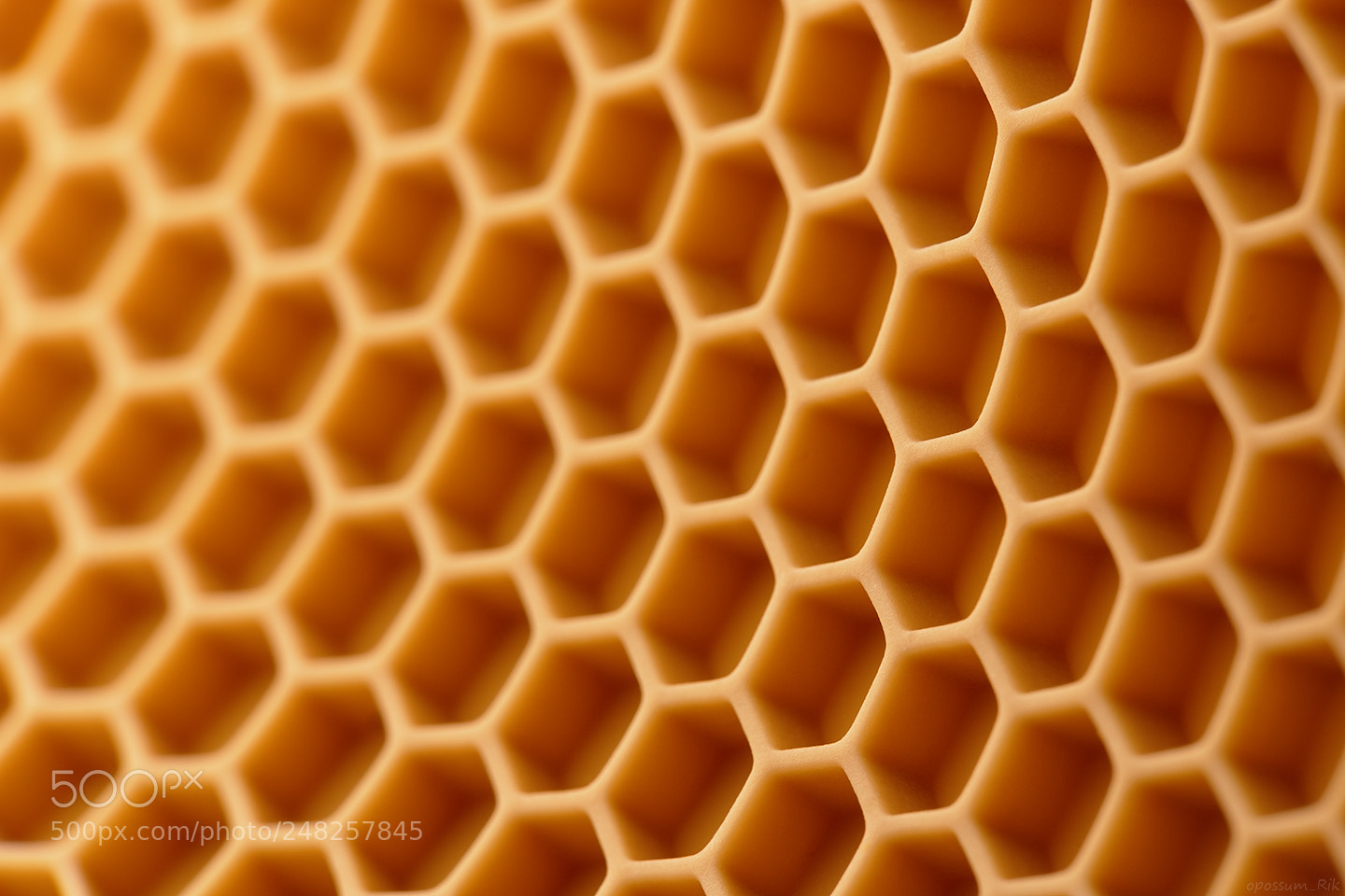 Panasonic Lumix DMC-FZ1000 sample photo. Honeycomb pattern photography