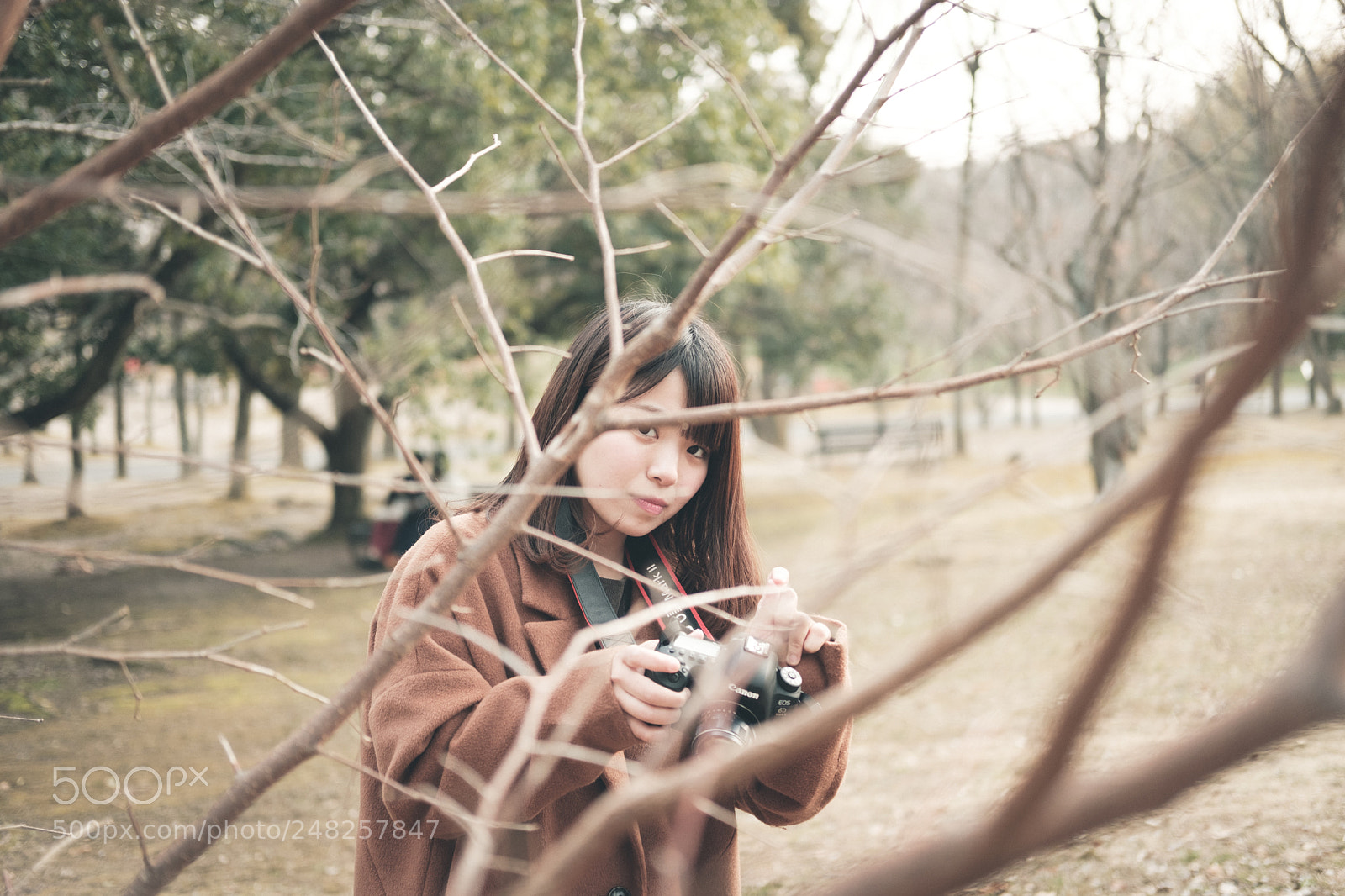 Fujifilm X-T2 sample photo. Untitled photography