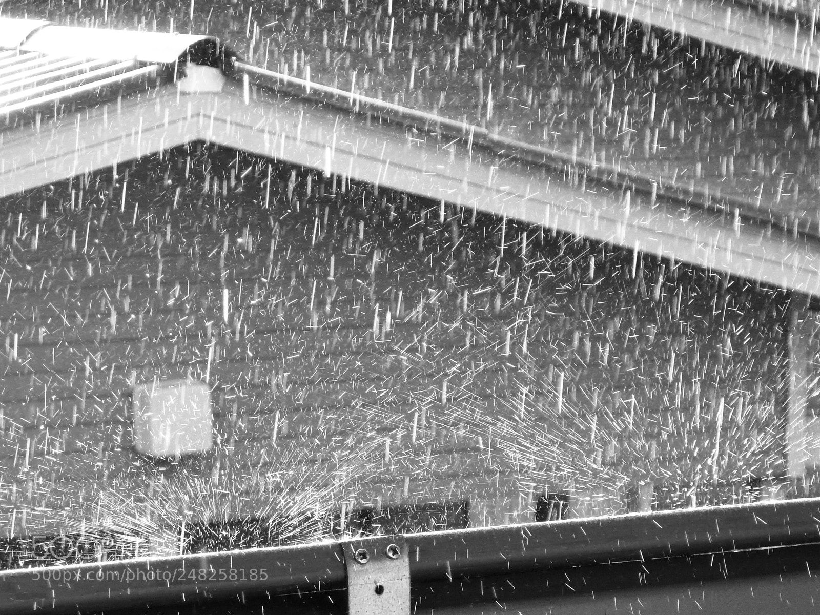 Panasonic Lumix DMC-ZS7 (Lumix DMC-TZ10) sample photo. Rain drops photography