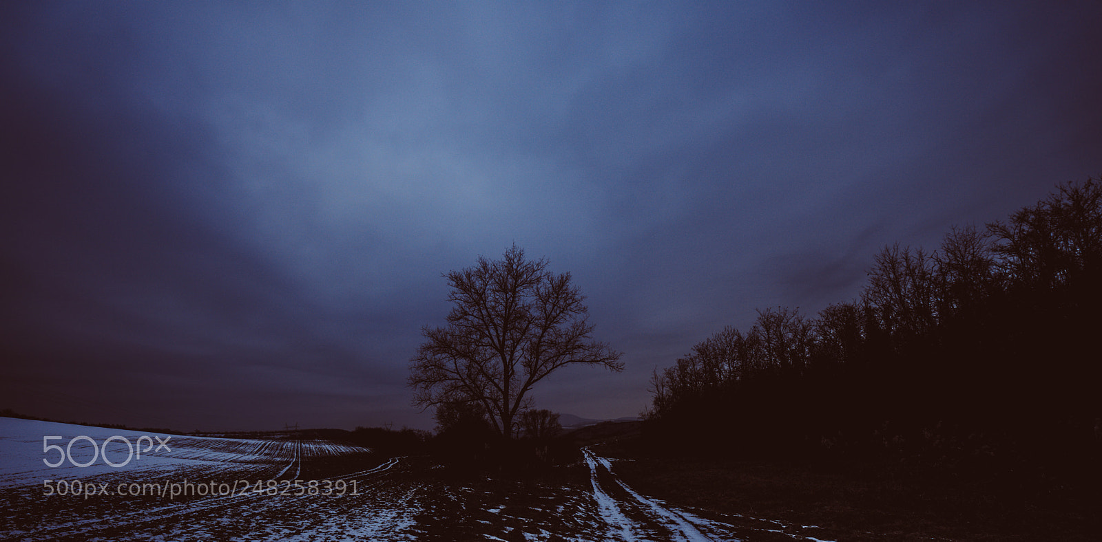 Sony a7 sample photo. Dsc photography