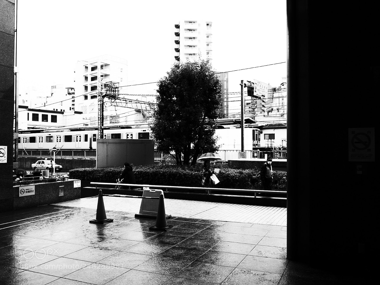 Ricoh GR II sample photo. Rain photography