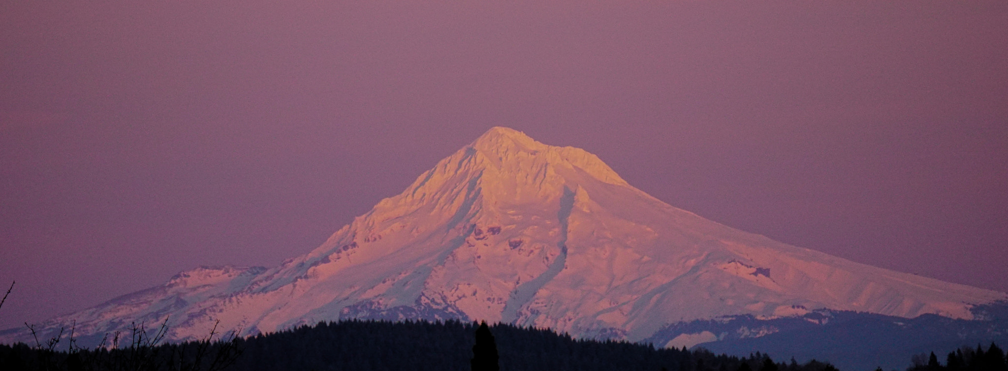 Sony E 55-210mm F4.5-6.3 OSS sample photo. Pink hood photography