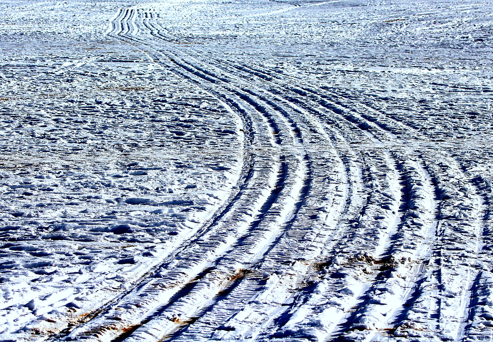Canon EOS 700D (EOS Rebel T5i / EOS Kiss X7i) sample photo. The country ski trails on the beach. photography