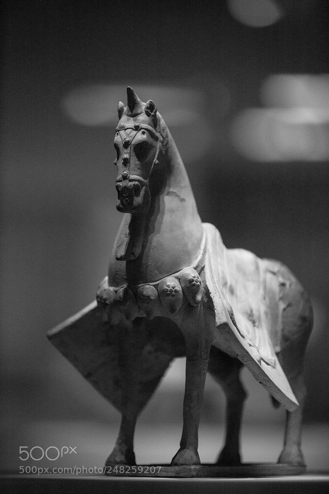 Canon EOS-1Ds Mark III sample photo. Untitled photography