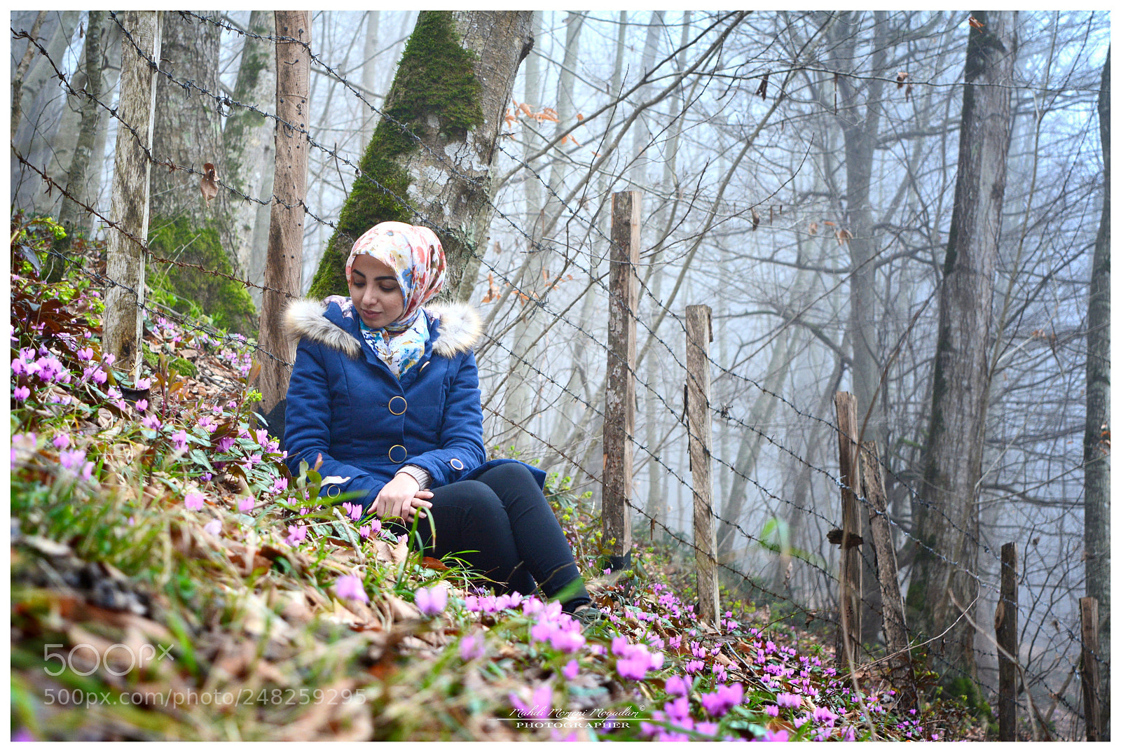 Nikon D5200 sample photo. Nastaran photography