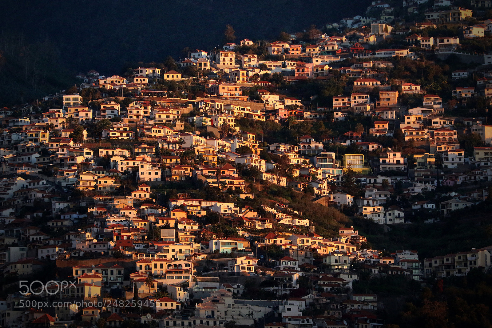 Canon EOS 7D Mark II sample photo. Funchal photography