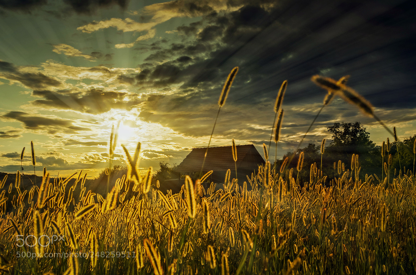 Pentax K-5 II sample photo. Th sunlight photography