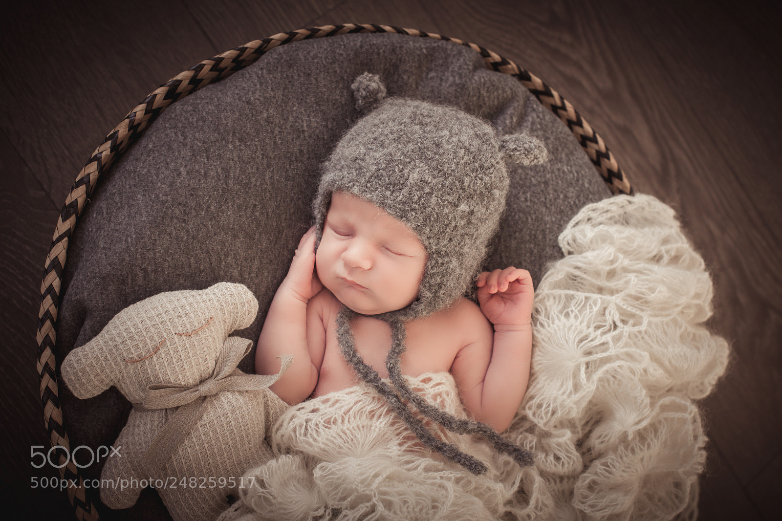 Nikon D610 sample photo. Baby bear photography