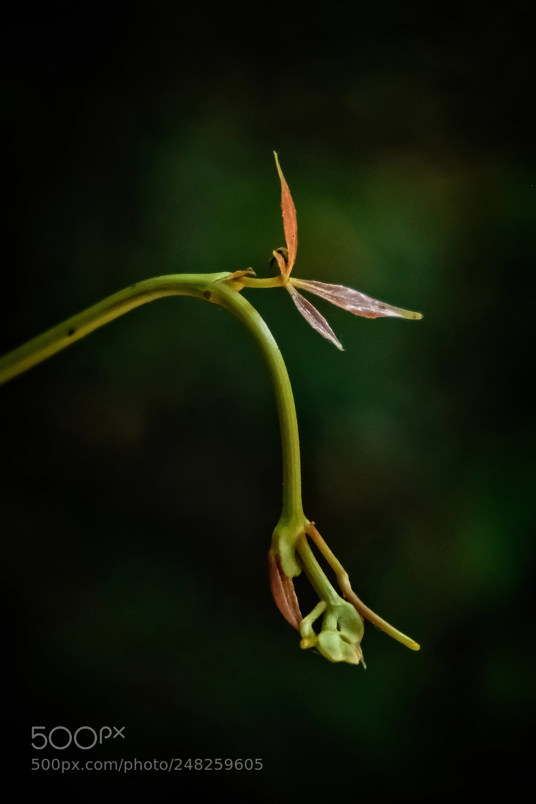 Fujifilm X-E3 sample photo. Birth photography