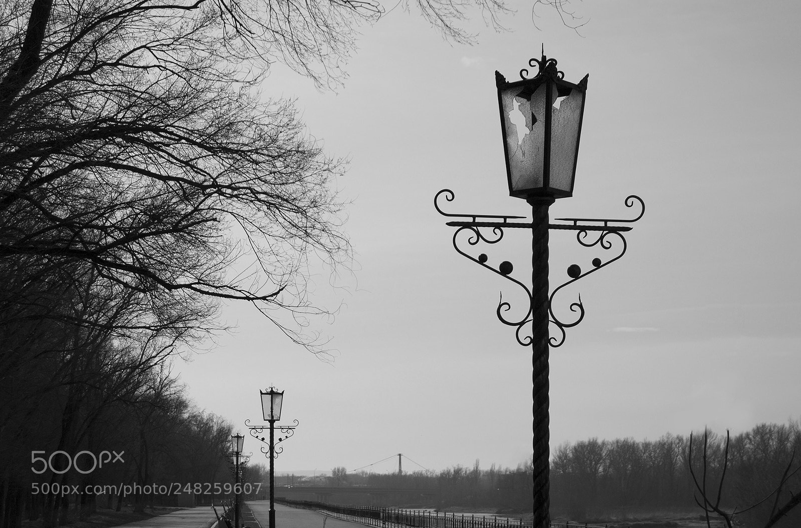 Nikon D3100 sample photo. Victim of lack of photography