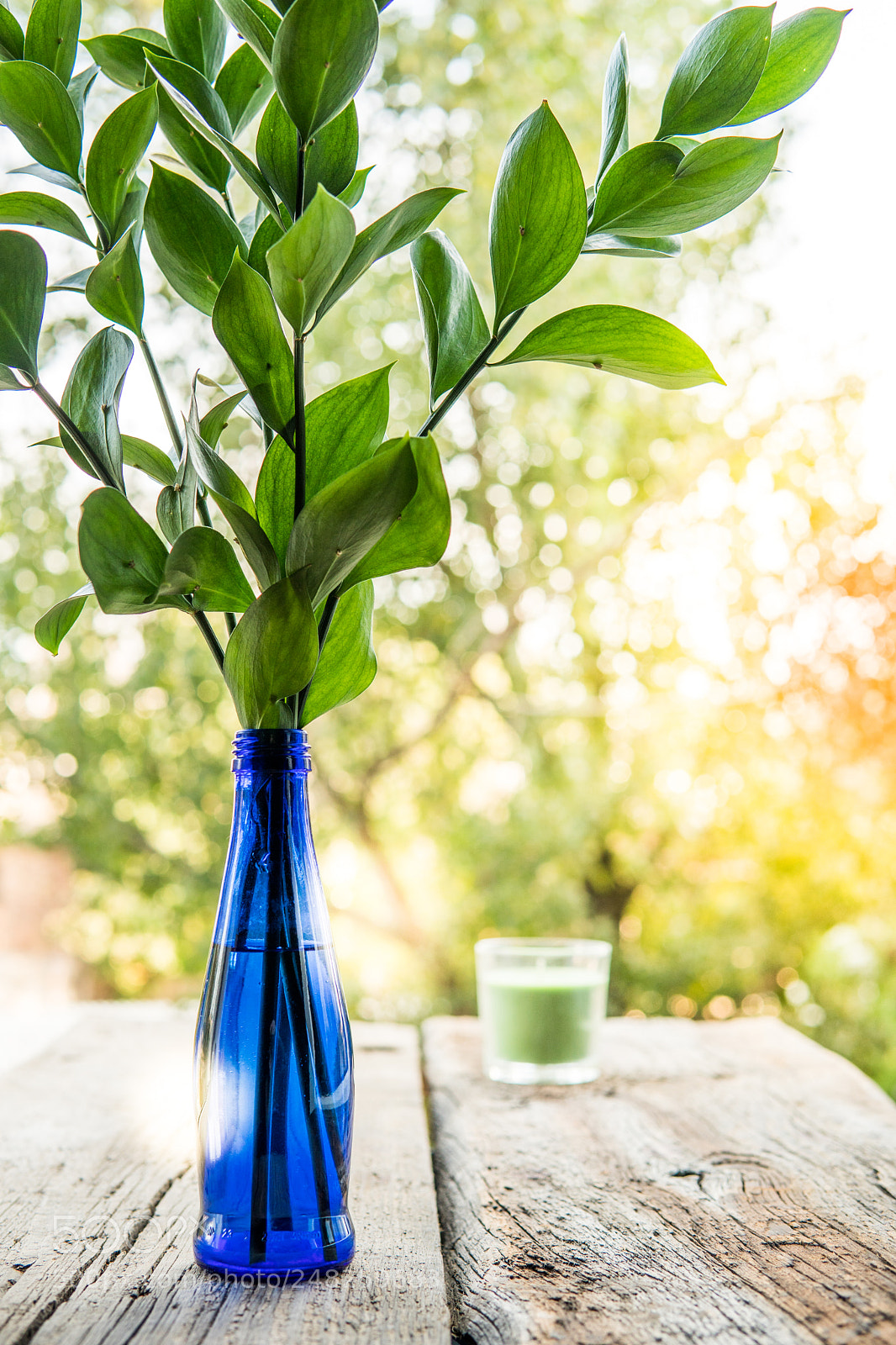 Sony a6500 sample photo. Green bouquet in blue photography